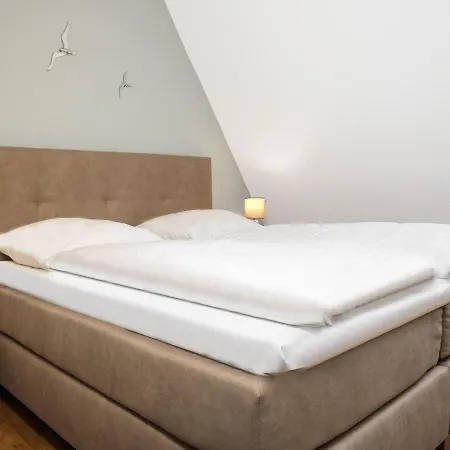 Haus Suedwester Seeanemone *