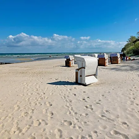 Haus Suedwester Seeanemone * 인젤 포엘