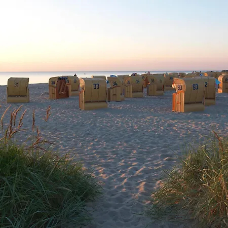 아파트 Haus Suedwester Seeanemone *