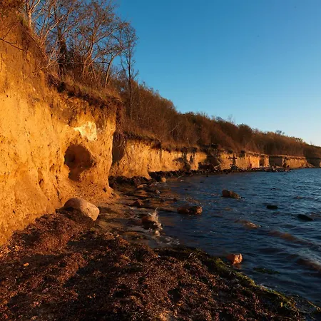 Haus Suedwester Seeanemone * 인젤 포엘