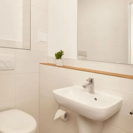 Haus Suedwester Seeanemone