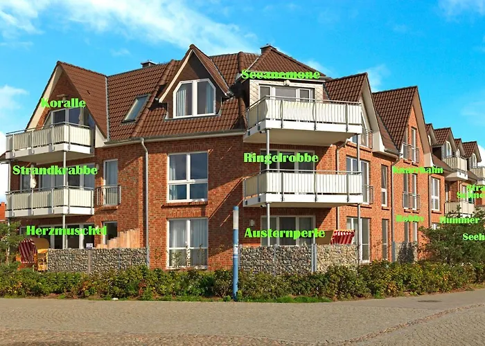 Haus Suedwester Seeanemone 公寓 因塞尔波埃尔